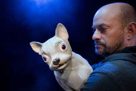 Marionetteatern: Husdjursföreställningen