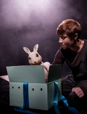 Marionetteatern: Husdjursföreställningen