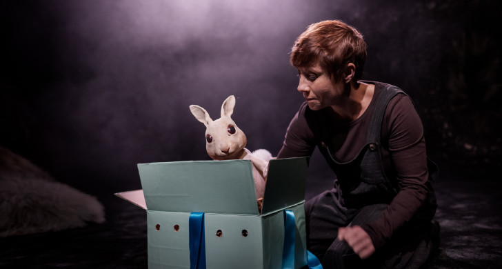 Marionetteatern: Husdjursföreställningen