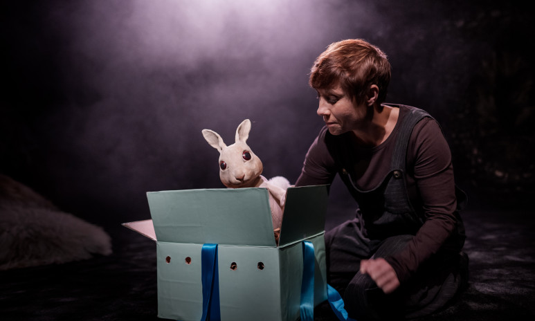 Marionetteatern: Husdjursföreställningen