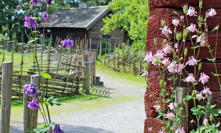 Blomster vid Råbygården