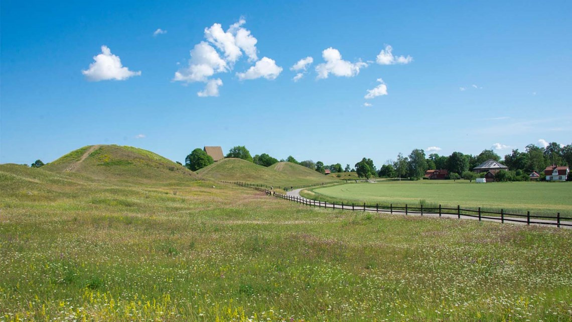 Kungshögarna i Gamla Uppsala Gamla Uppsala museeum – Barn i stan