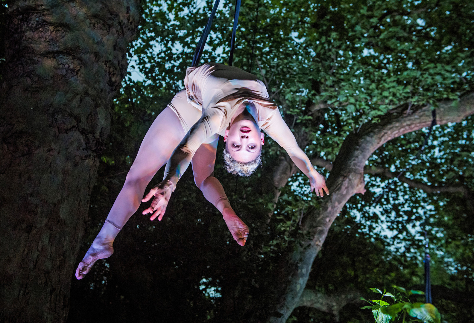 En cirkusartist som hänger i ett grönskande träd