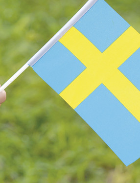 Barnarm håller i svensk flagga