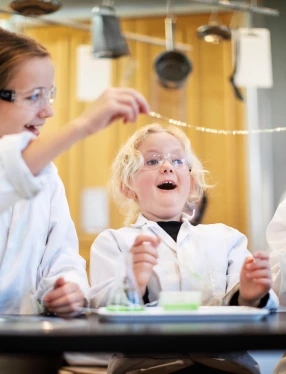 kemiköket alginatmaskar