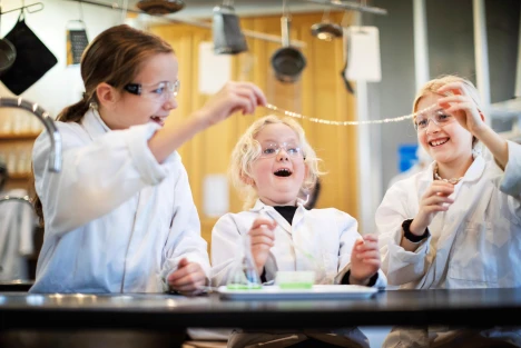 kemiköket alginatmaskar