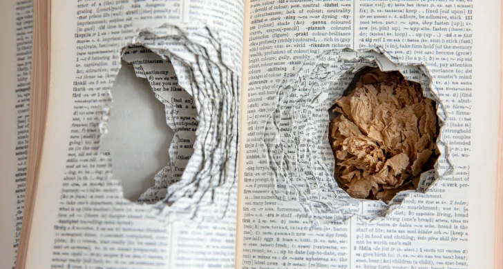 Bok med urgröpta sidor.