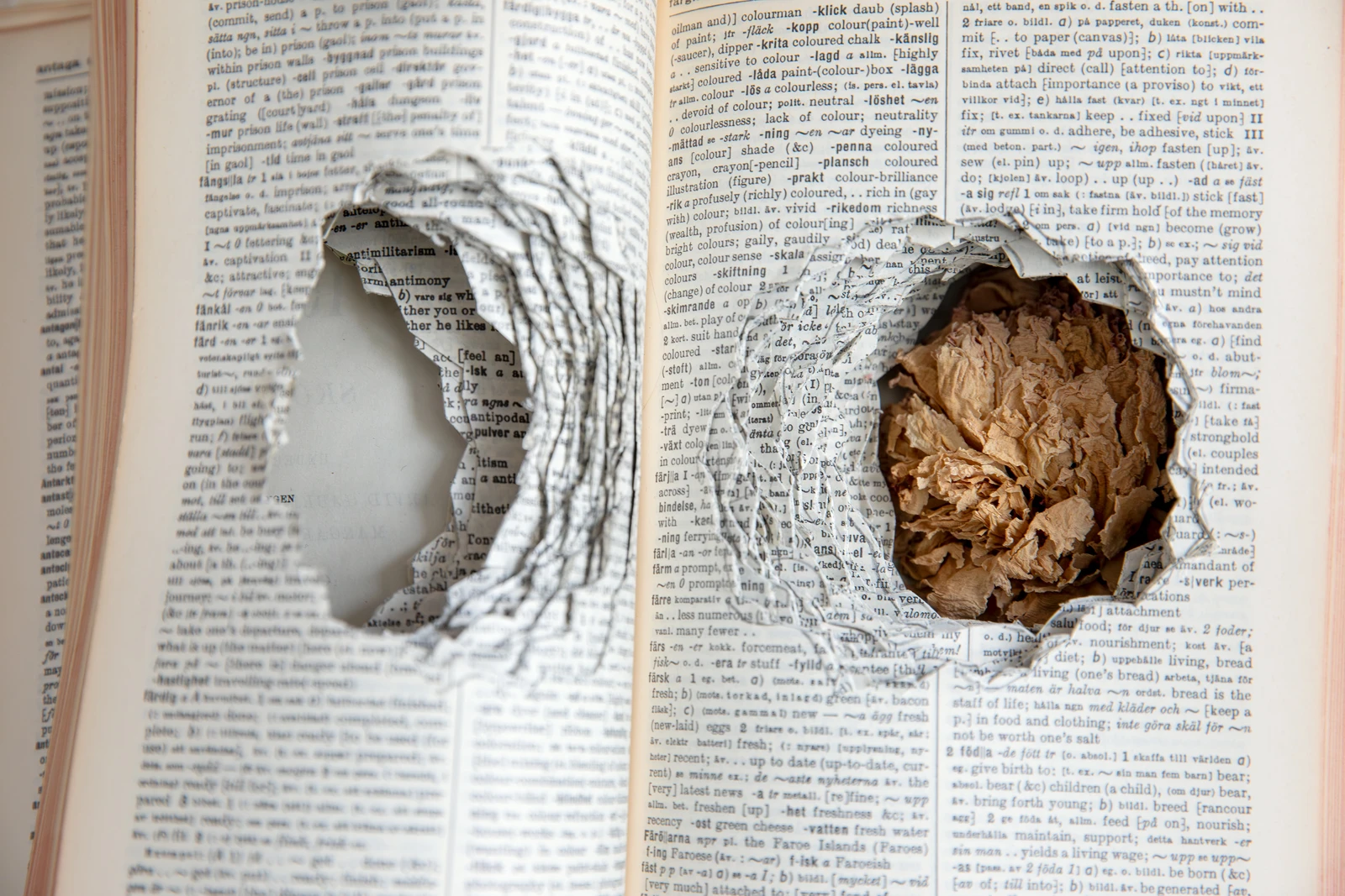 Bok med urgröpta sidor.