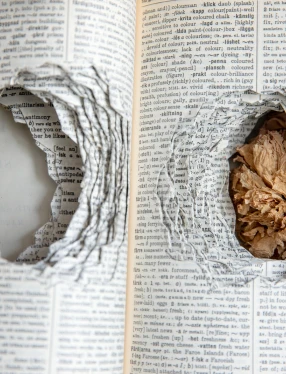 Bok med urgröpta sidor.