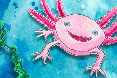 En teckning av en rosa axolotl.
