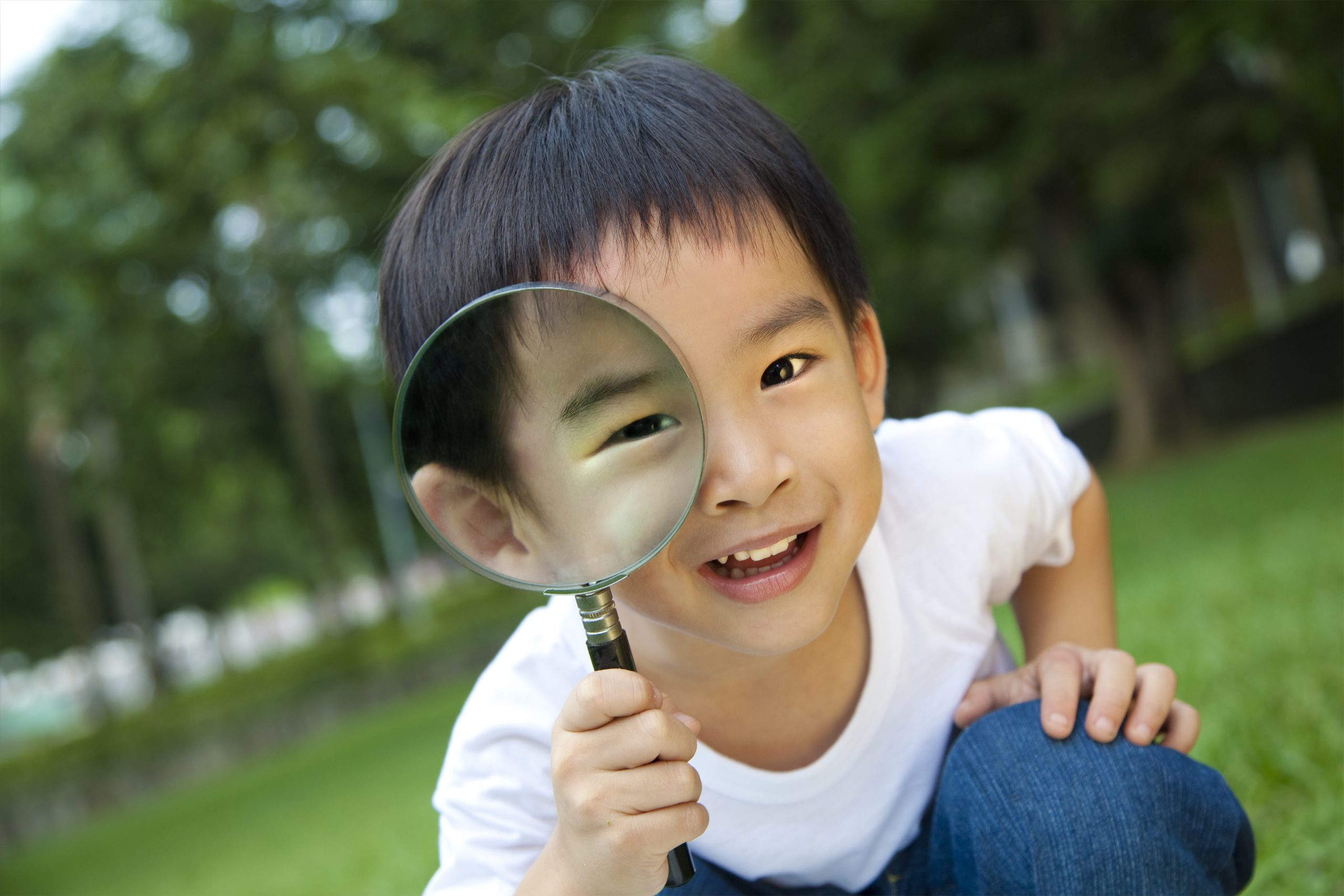https://www.barnistan.se/wp-content/uploads/2021/11/shutterstock_83294755-scaled.jpg