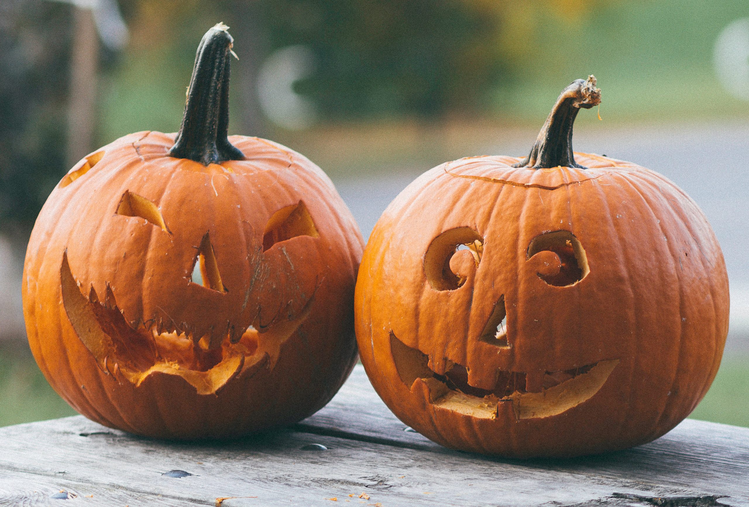 https://www.barnistan.se/wp-content/uploads/2022/10/Pumpor_Halloween_Unsplash_beskuren-scaled.jpg