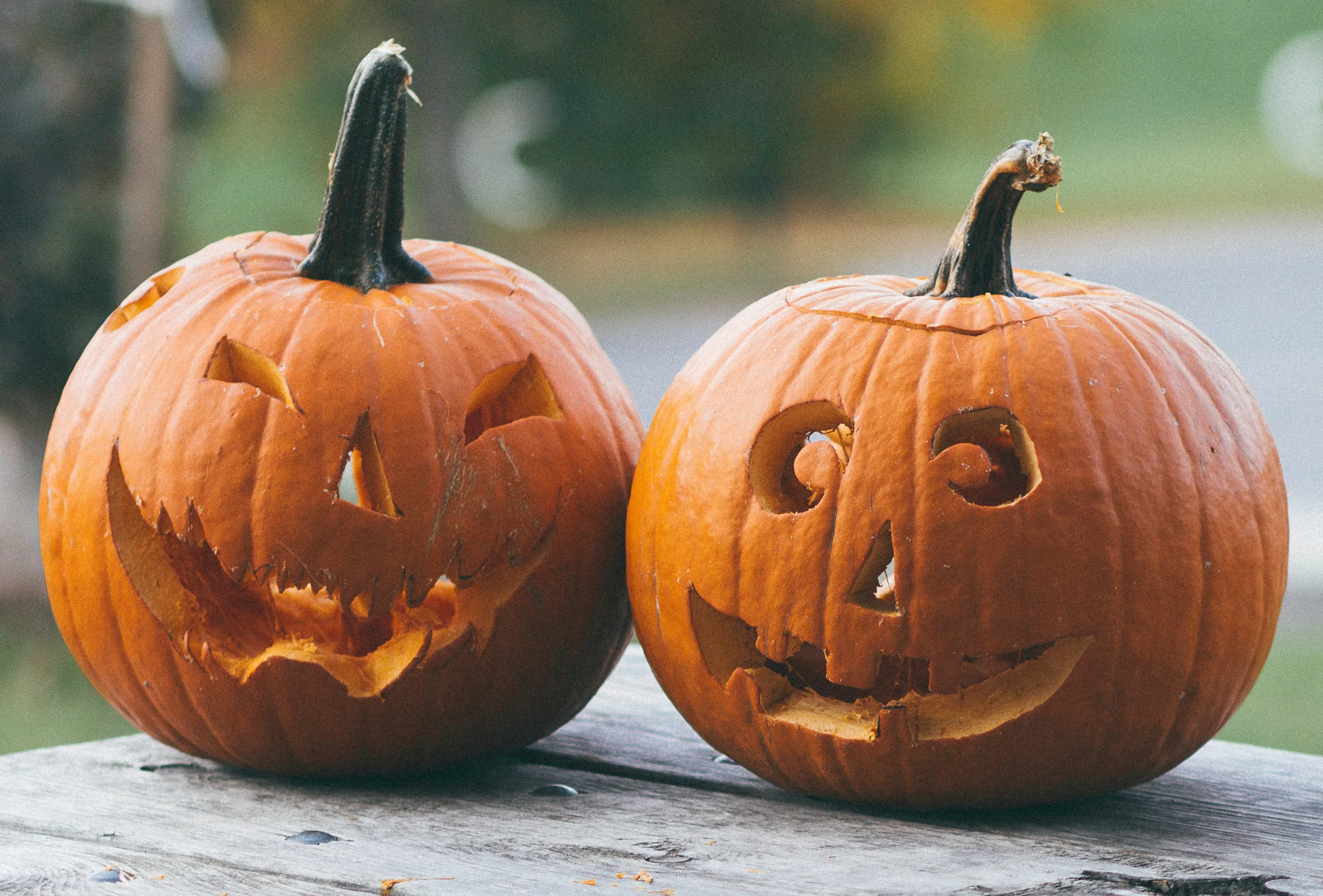 https://www.barnistan.se/wp-content/uploads/2022/10/Pumpor_Halloween_Unsplash_beskuren-scaled.webp
