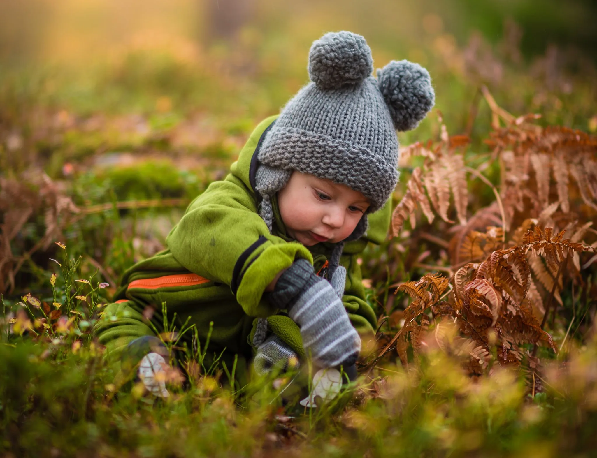 https://www.barnistan.se/wp-content/uploads/2022/11/Host_natur_bebis-e1668158462568.webp