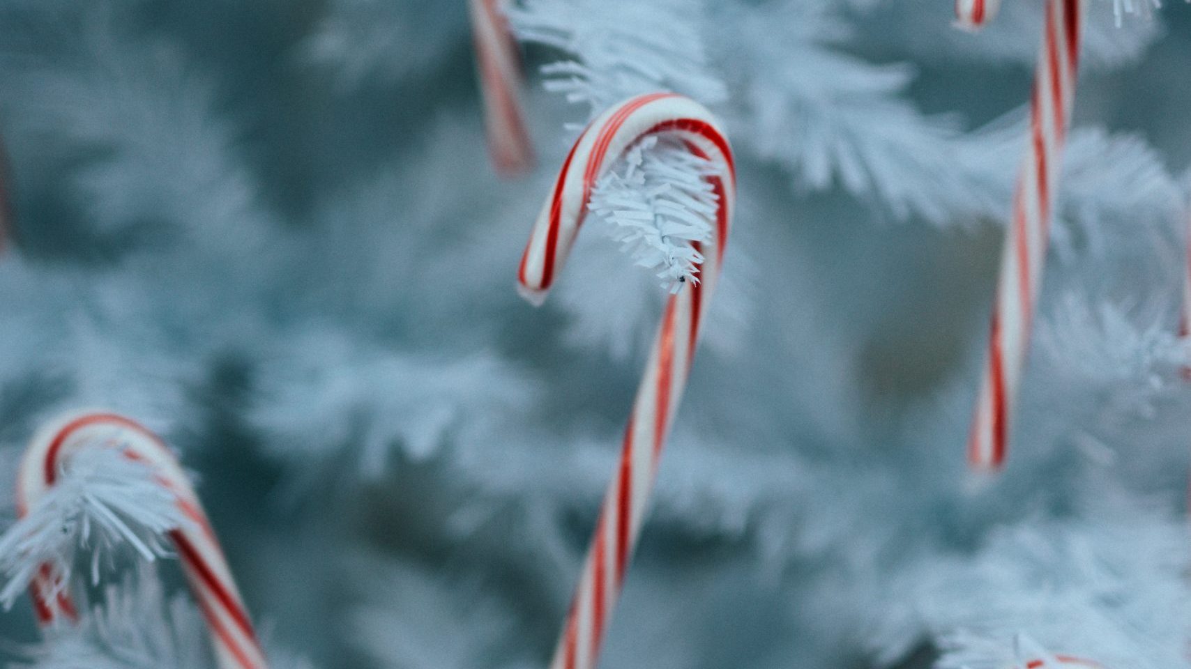 https://www.barnistan.se/wp-content/uploads/2022/12/nathan-dumlao-IttQzQUnUkc-unsplash-scaled-e1670596381629.jpg