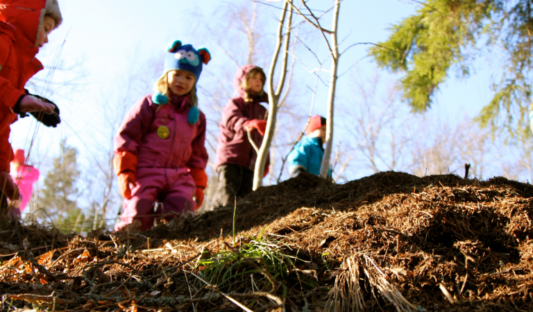 https://www.barnistan.se/wp-content/uploads/2023/02/Natursnokarna_djurens_hus_skog-e1679654088873.png