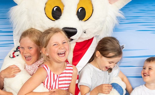 https://www.barnistan.se/wp-content/uploads/2023/04/children-ville-viking-playroom-adventure-island_14843_812x501.jpg
