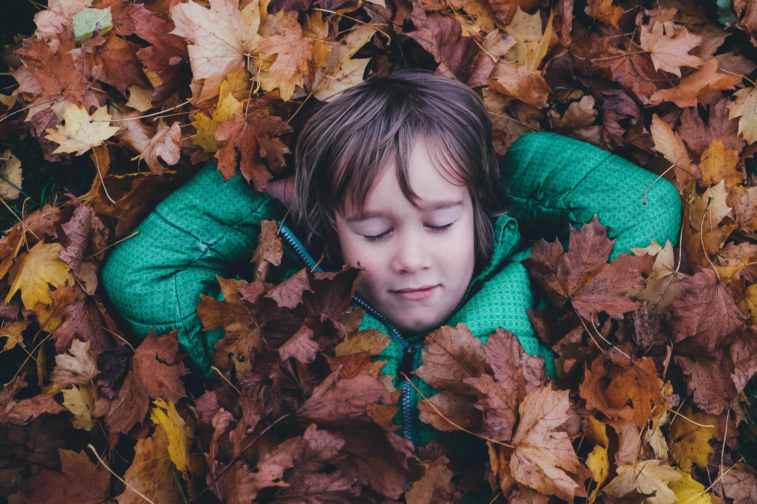 https://www.barnistan.se/wp-content/uploads/2023/10/annie-spratt-Ewfrjh0GvtY-unsplash-scaled.webp
