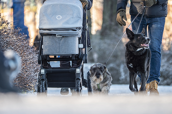 https://www.barnistan.se/wp-content/uploads/2023/11/djurgarden_vinter_strandpromenad_barnvagn_hund_jonasborg_20210113_600x400.jpg