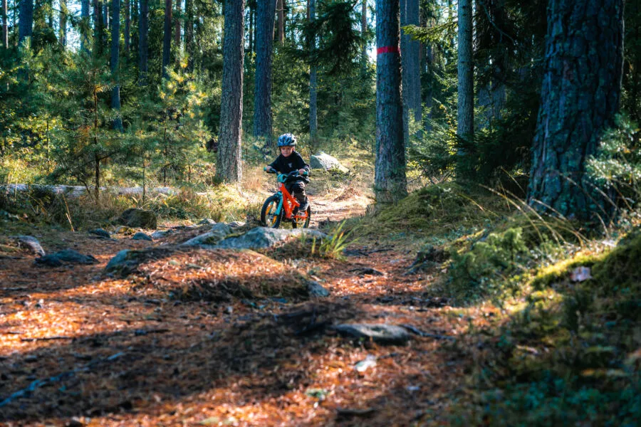https://www.barnistan.se/wp-content/uploads/2024/03/pasklov-i-uppsala.webp