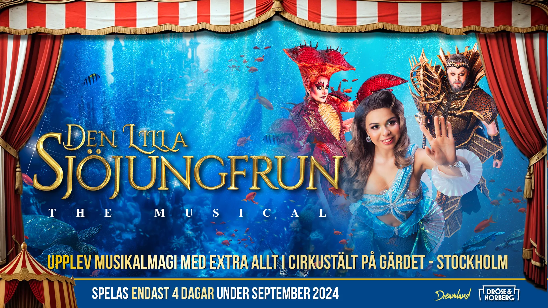 https://www.barnistan.se/wp-content/uploads/2024/05/DLS_taltannons_1920x1080_2.webp