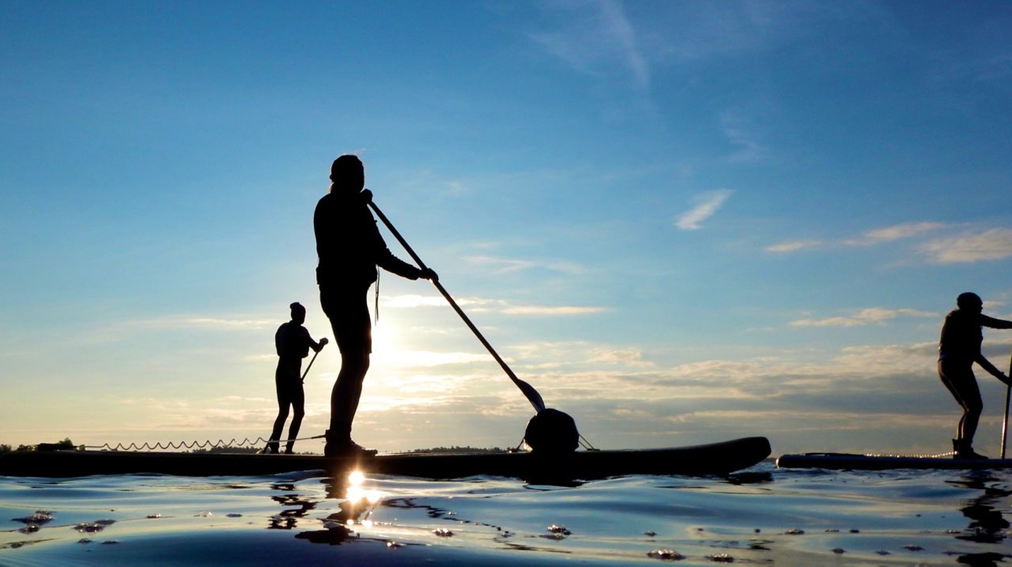 https://www.barnistan.se/wp-content/uploads/2024/06/djuronaset_sommar_5_1428x800.jpg
