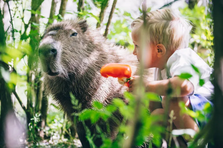 https://www.barnistan.se/wp-content/uploads/2025/08/Eskilstuna-zoo.webp