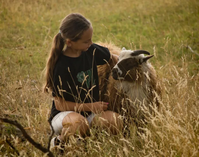 https://www.barnistan.se/wp-content/uploads/2026/04/akalla-4h-e1776678235286.webp