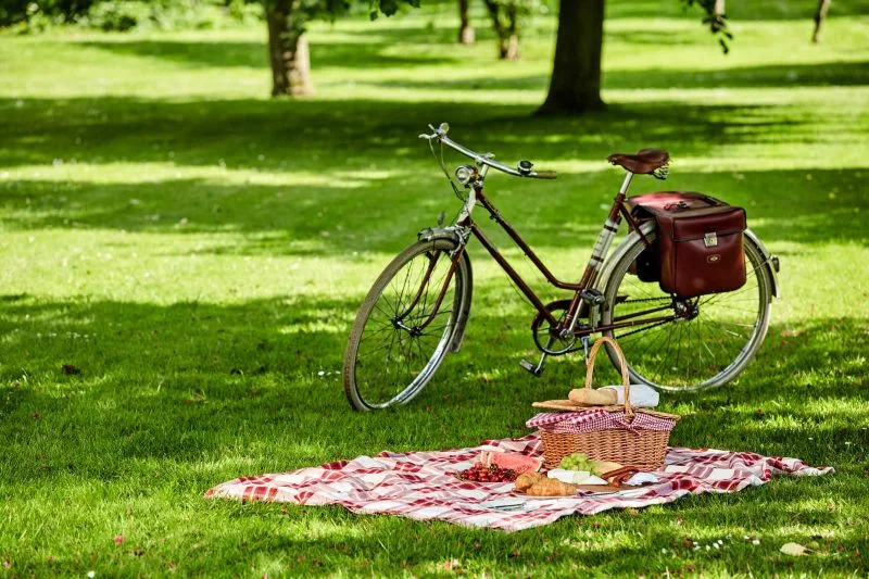 https://www.barnistan.se/wp-content/uploads/2026/04/cykel-picnic-sommar-park-destination-uppsala.webp