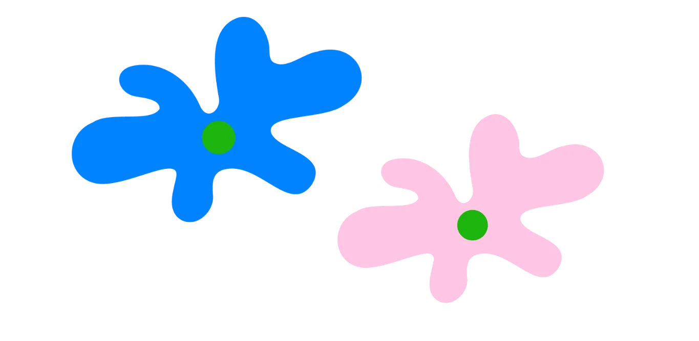 https://www.barnistan.se/wp-content/uploads/2026/05/Header-format-BIS-webben-17.webp