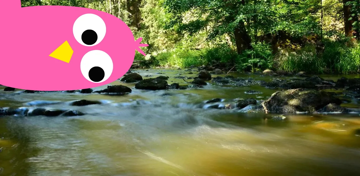 https://www.barnistan.se/wp-content/uploads/2026/05/Header-format-BIS-webben-59.webp