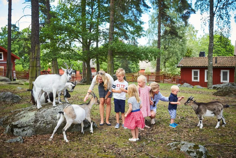 https://www.barnistan.se/wp-content/uploads/2026/05/Vasteras_Vallby-Friluftsmuseum_Pia-Nordlander_003.webp