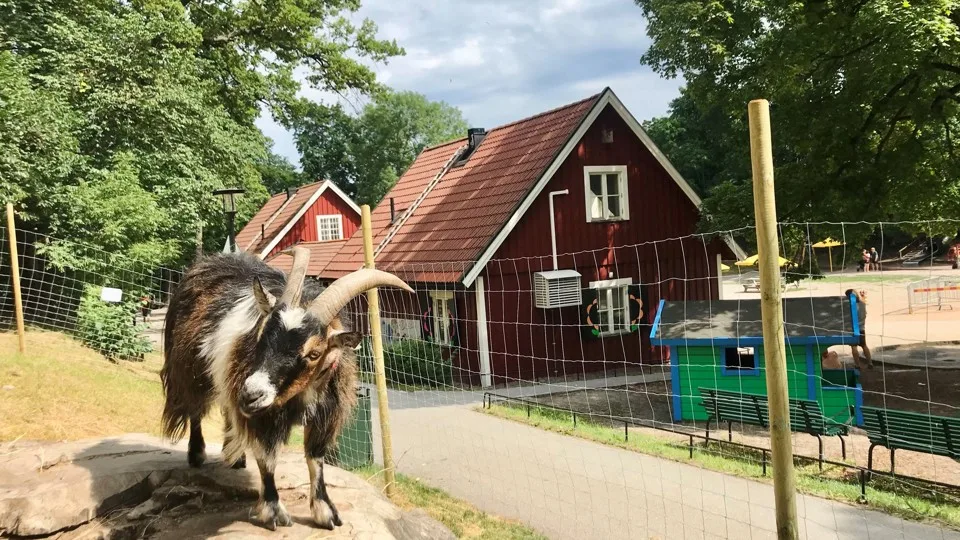 https://www.barnistan.se/wp-content/uploads/2026/05/parklek-blecktornsparken.webp