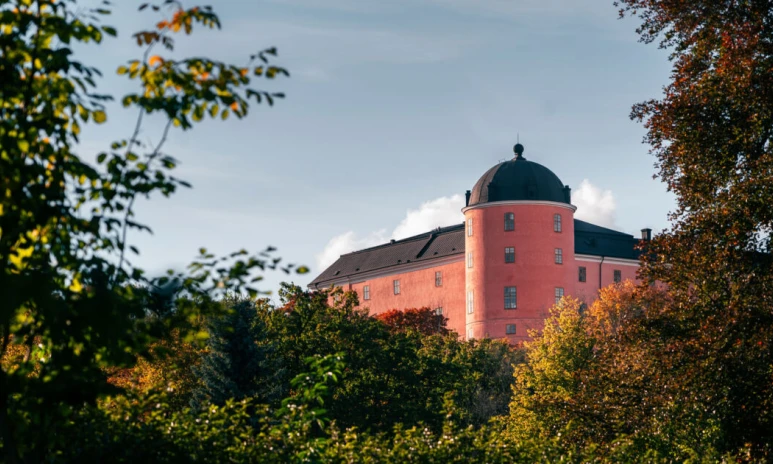 https://www.barnistan.se/wp-content/uploads/2026/05/uppsala-slott-hosttrad-1200x630-1.webp