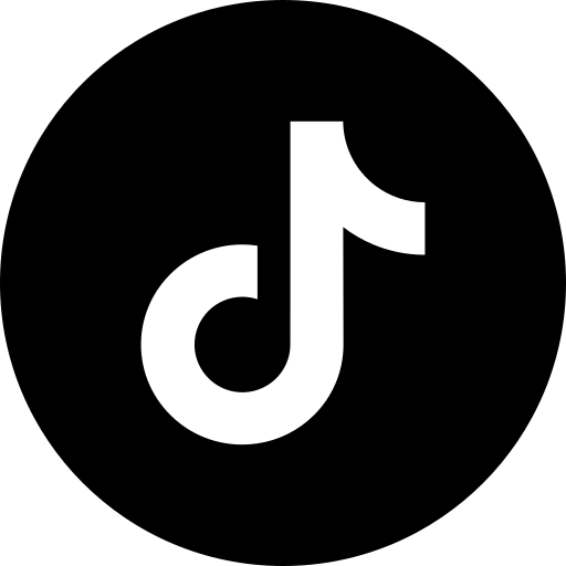 https://www.barnistan.se/wp-content/uploads/2026/06/tiktok.webp